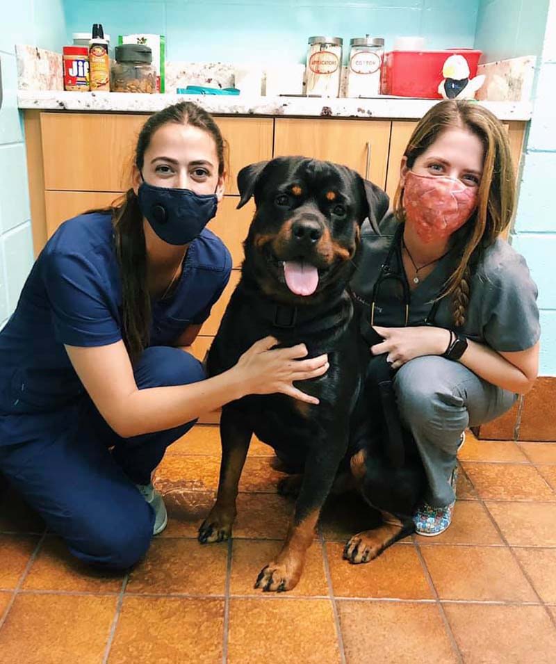 two women wearing face masks and a dog