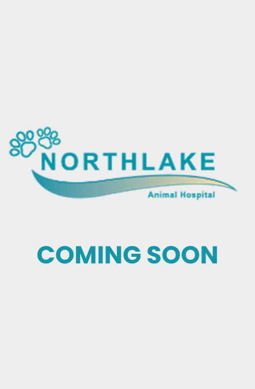 coming soon coming soon